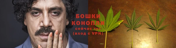 каннабис Богданович